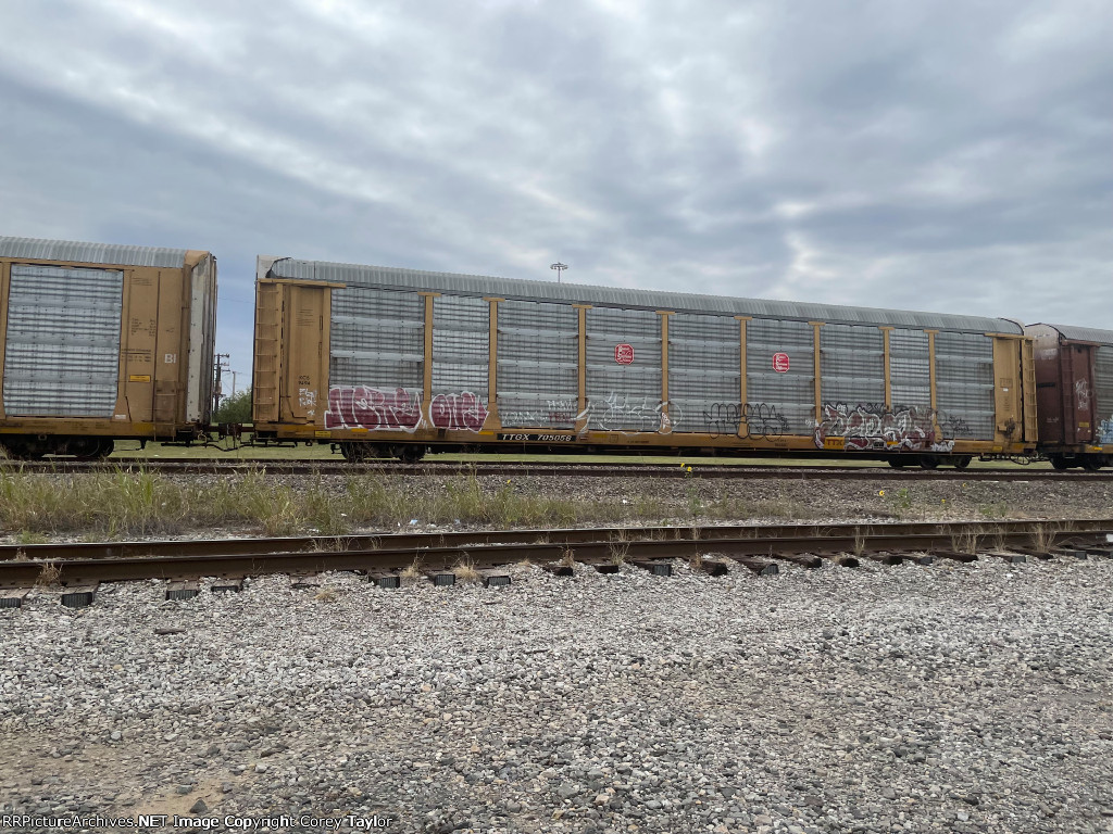 TTGX 705056